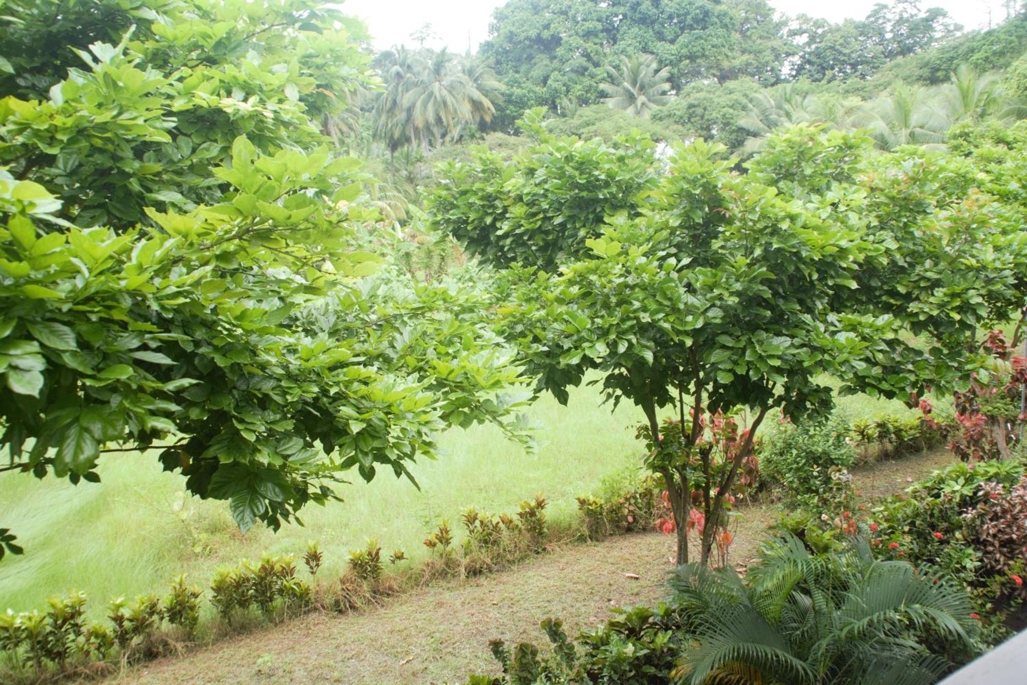 Hotel Exotica Squares Lakshmanpur Ngoại thất bức ảnh